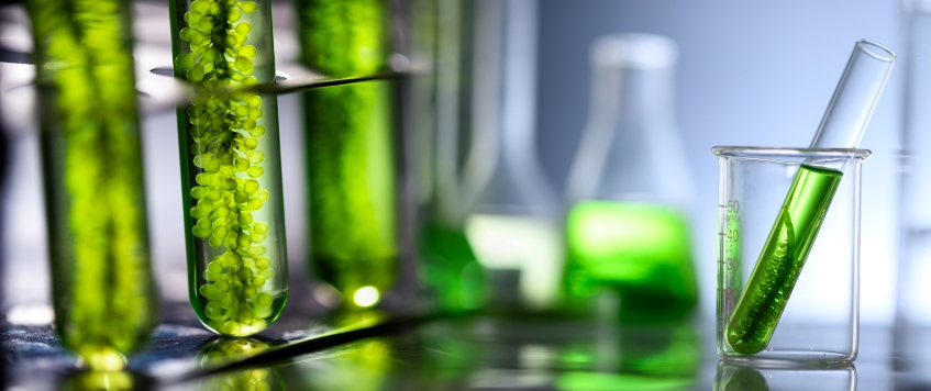 the-urgent-need-for-green-fuels-in-the-shipping-industry